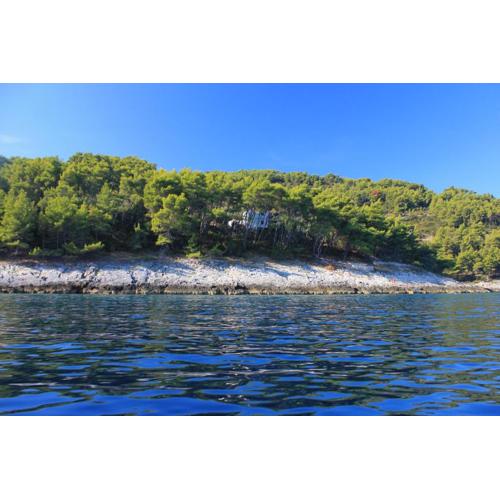 Secluded fisherman\