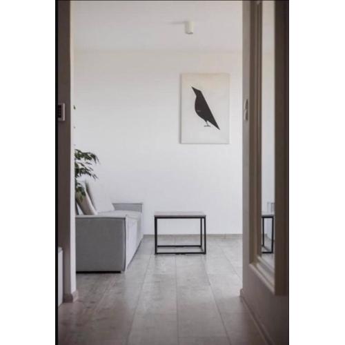 Shiraz Trio Apartament