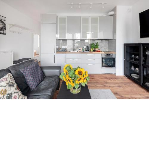 ShortStayPoland Pustelnicka (B58)