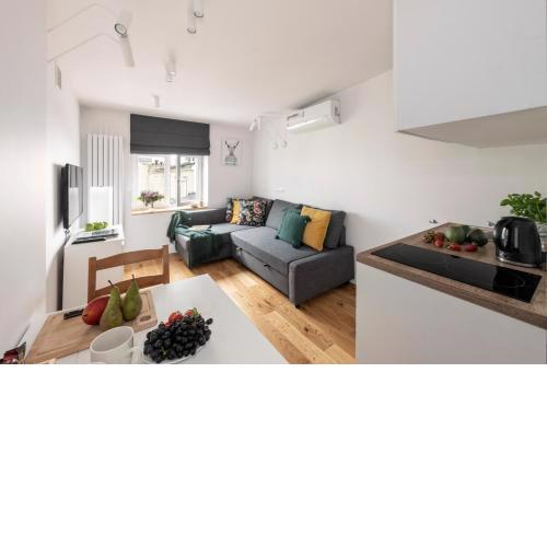 ShortStayPoland Wilcza (B42)