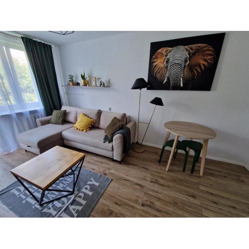 Sienkiewicza apartament MULTI HOUSE