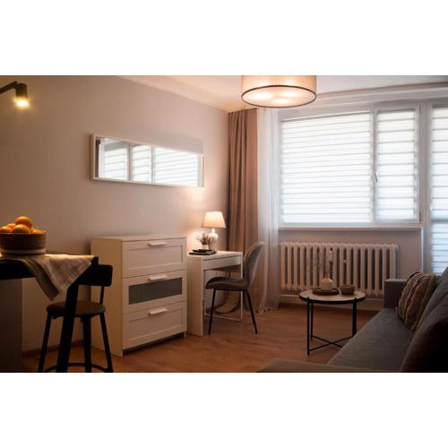 Silesia Studio