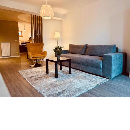 Silver Apartment - in the City Center with privat parking