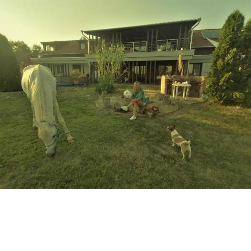 Silver Horse Ranch