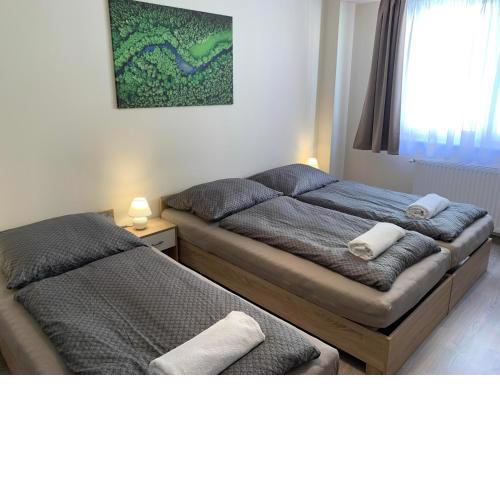 Silver Shine Apartman