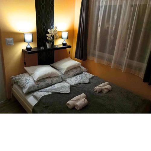 Silver Star Apartment