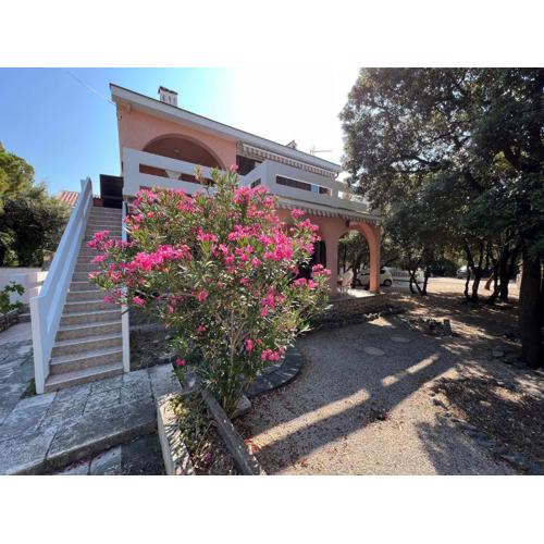 Šimuni holiday home