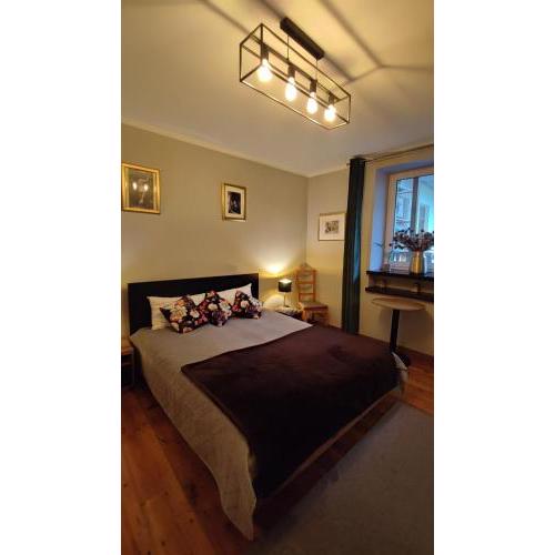 Singer Apartament