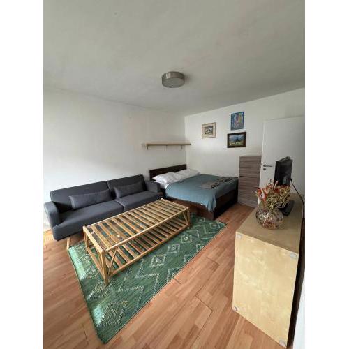 Skau Kutuzovova Apartment Free Parking