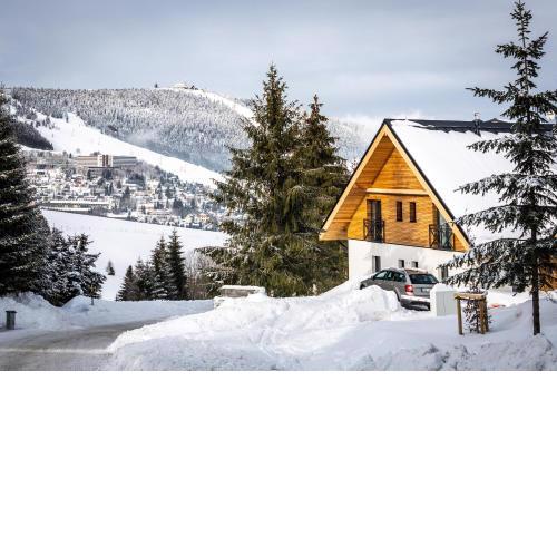 Ski Chalet Klínovec