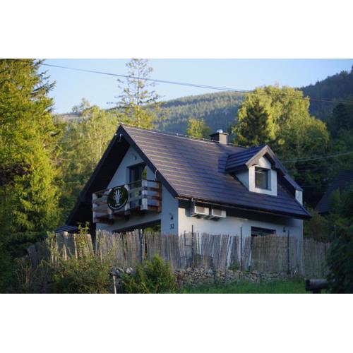Ski House Szczyrk - Czyrna