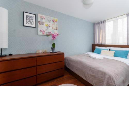Sky Nest Homely Apartment