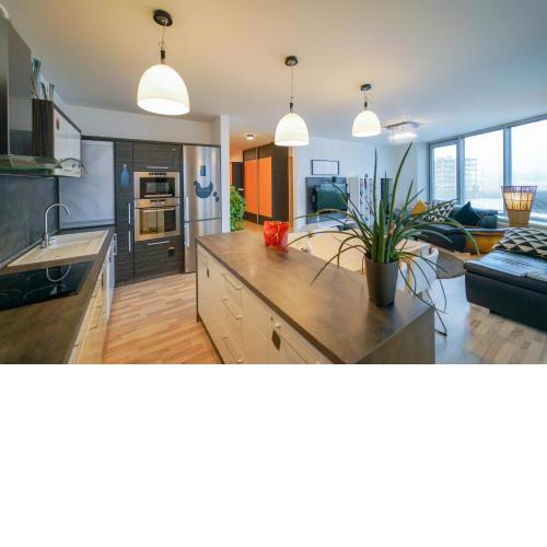 Slavic Spacious Apartment