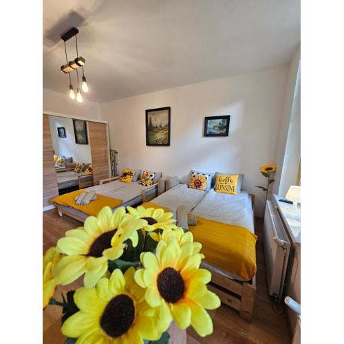 Słonecznikowy Loft Parter