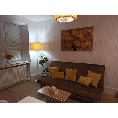 Słoneczny apartament z prywatną sauną w Stroniu Śląskim