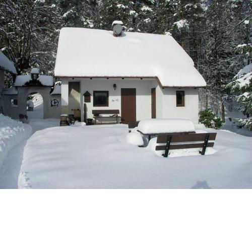 small holiday home at the edge of the forest