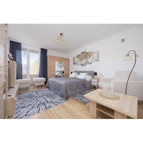 Śmiała Comfy Apartment Pet-friendly by Noclegi Renters