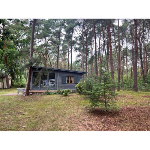 Solaris House - Dom wakacyjny wśród lasu sosnowego