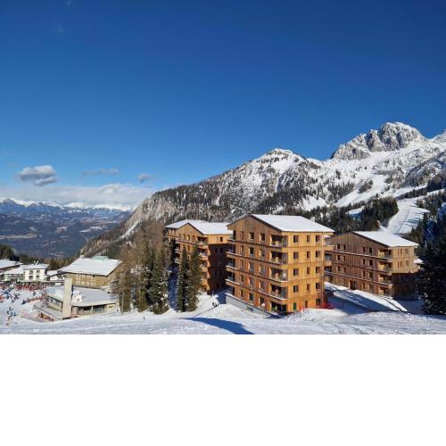 Sonnenalpe Nassfeld Bergblume