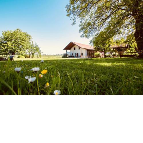 Sonnenblumenhof