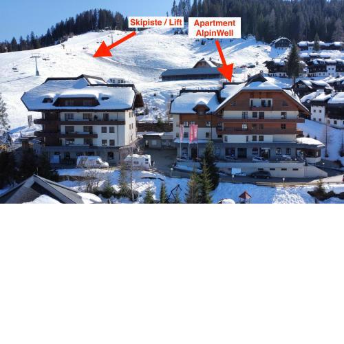 Sonnleitn AlpinWell Appartment (Ski in&out + Wellness)