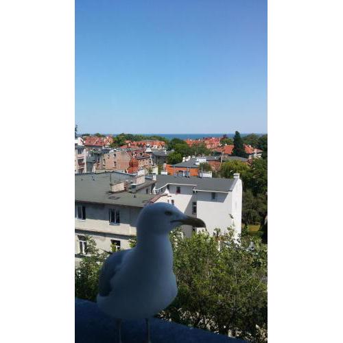 Sopot apartament z widokiem na Morze