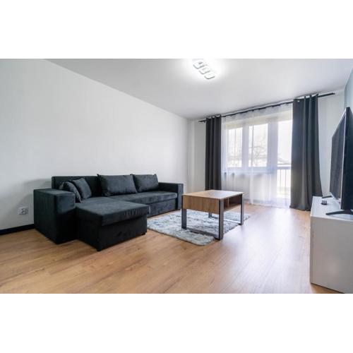 Sosnowiec City Centre Apartment