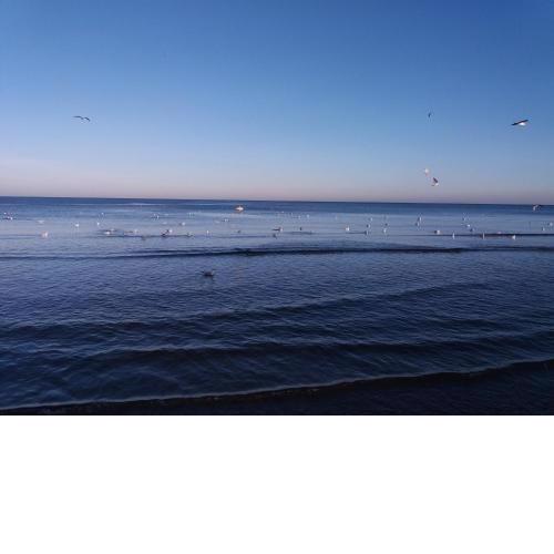 Sound Of The Sea