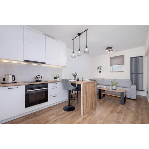 Spacious 2-Bedroom Apartment in the Center of Krakow\