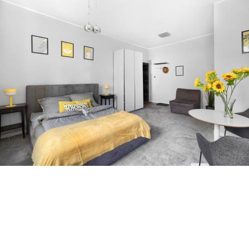 Spacious Apartament in the heart of Poznań