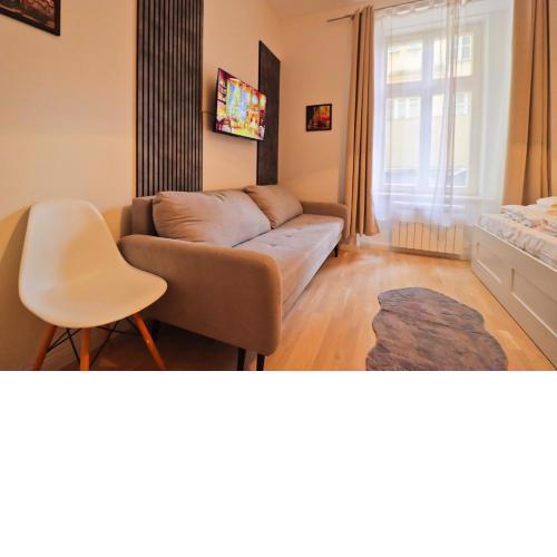Spacious apartment in the center of Prague