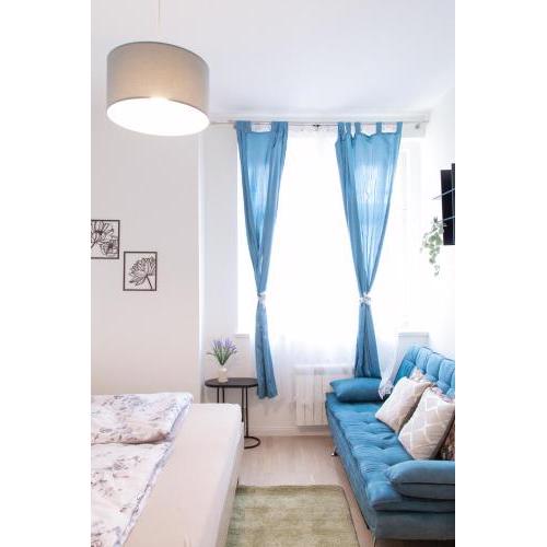 Spacious Apartment in Wenceslas square