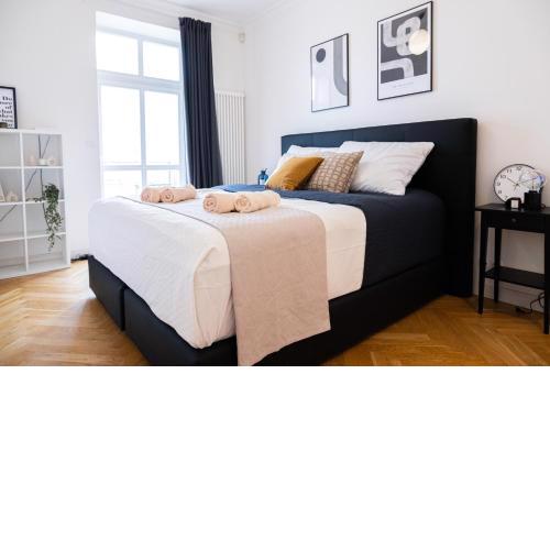 Spacious Apartment near Prague Castle