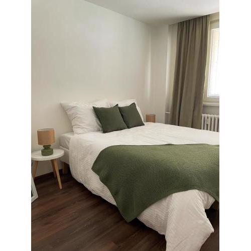 Spacious apartment near the city centre