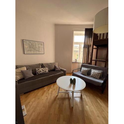 Spacious Apartment
