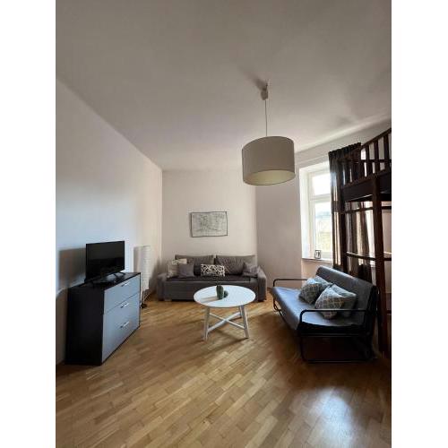 Spacious Apartment