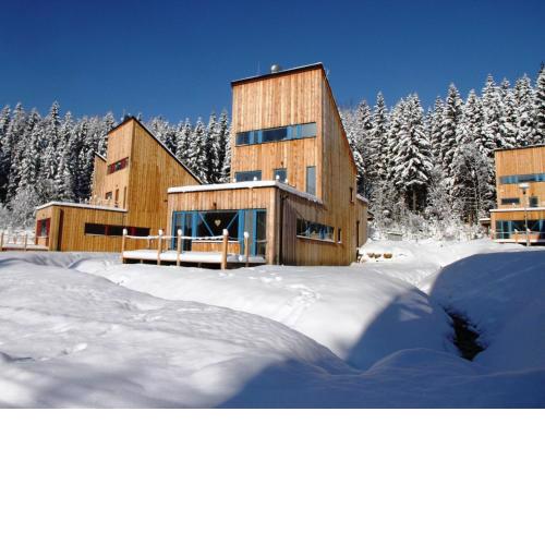 Spacious chalet in residential area, modern