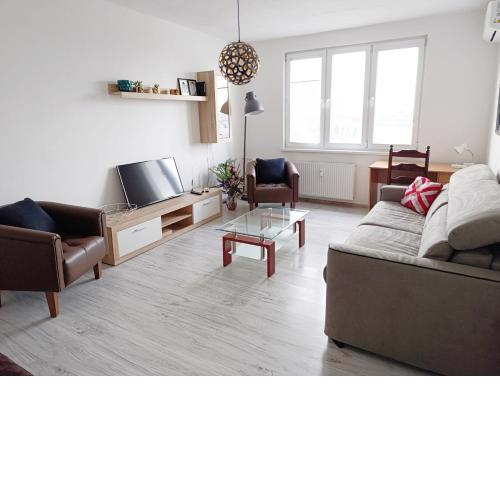 Spacious flat in wider centre of Nitra