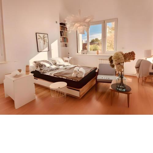 Spacious, quiet and bright apartment, close center, parking, air-conditioned rooms