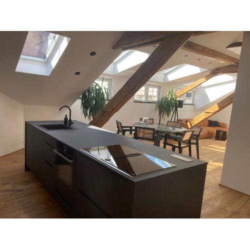 Split Rooftop Loft