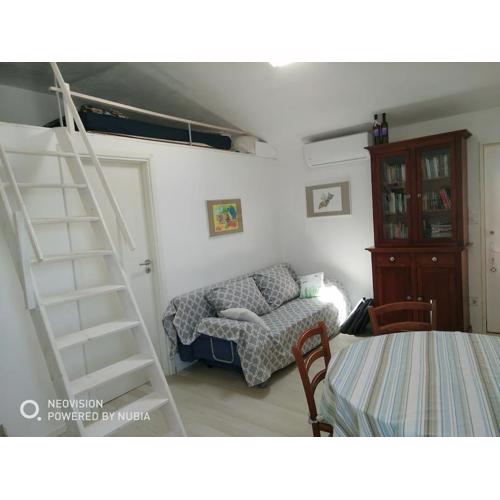 Sporty Studio Apartment