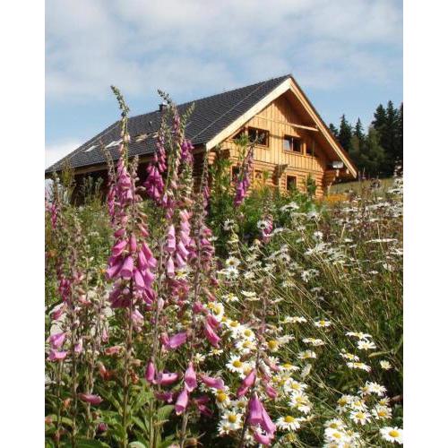 Srub Javorná - apartmány Šumava