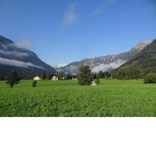 Stangl - Hof