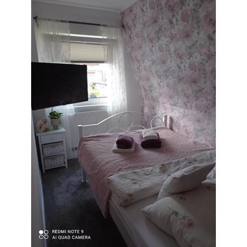 Stara Szkoła pokoje gościnne