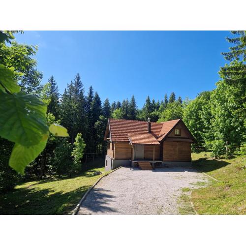 Starry Laz mountain house