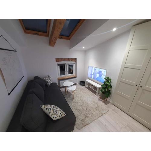 StayInPoznan Koziolki view!! Air conditioning, Internet, TV