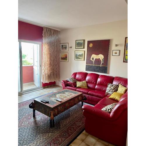 Stella suite