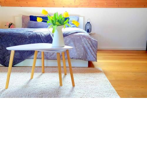 "Stone's throw" KRUMLOV 5 min by car, LIPNO 15 min by car, 2 bdrooms,playroom