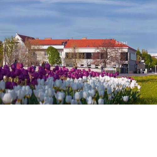 Strandhotel Alte Donau