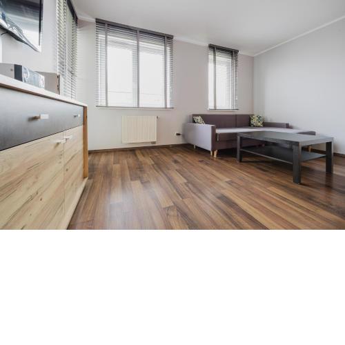 Strzeszyn Comfort Apartment